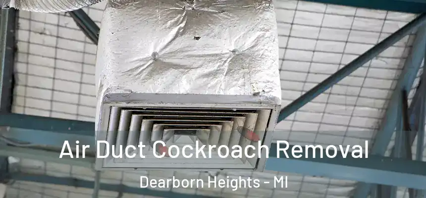 Air Duct Cockroach Removal Dearborn Heights - MI