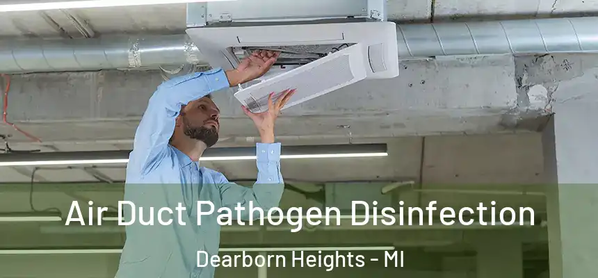 Air Duct Pathogen Disinfection Dearborn Heights - MI