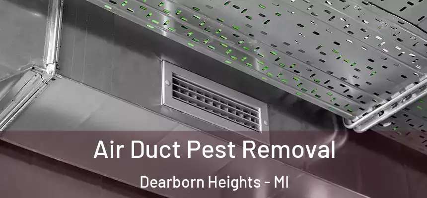  Air Duct Pest Removal Dearborn Heights - MI