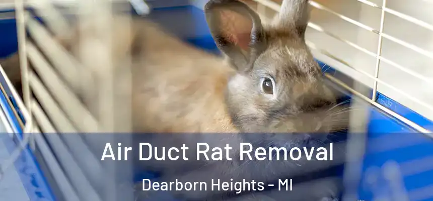 Air Duct Rat Removal Dearborn Heights - MI