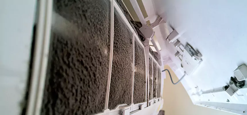 Preventive Air Duct Bacteria Removal in Dearborn Heights