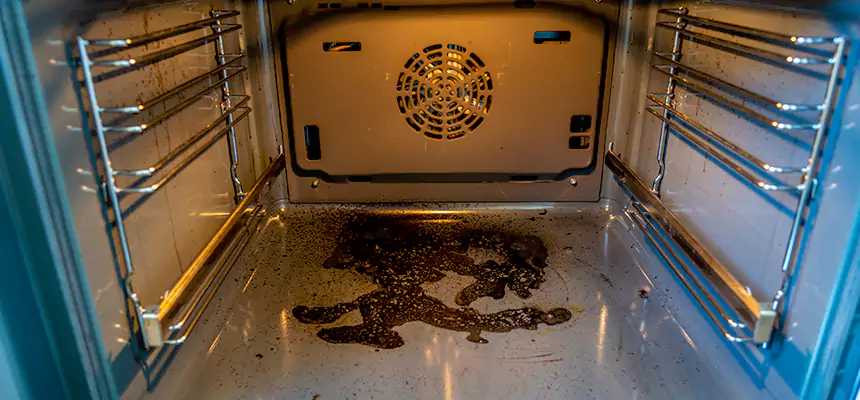 Our Dryer Vent Mold Cleaning Services in Dearborn Heights, MI