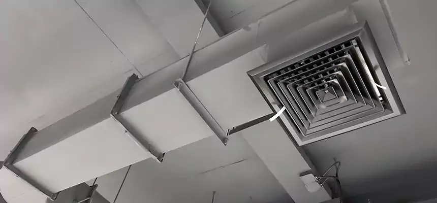 Our Pest Removal From Ducts Services in Dearborn Heights, MI