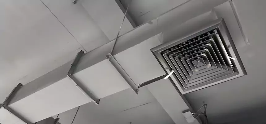 Our Rodent Droppings In Vents Services in Dearborn Heights, MI