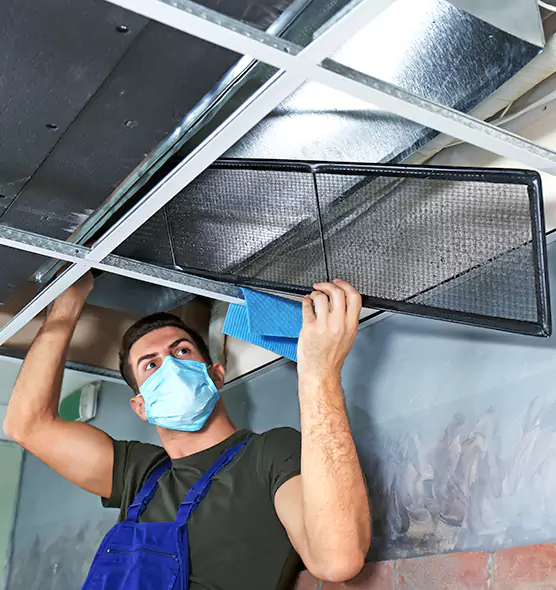 About Air Duct Bacteria Removal in Dearborn Heights