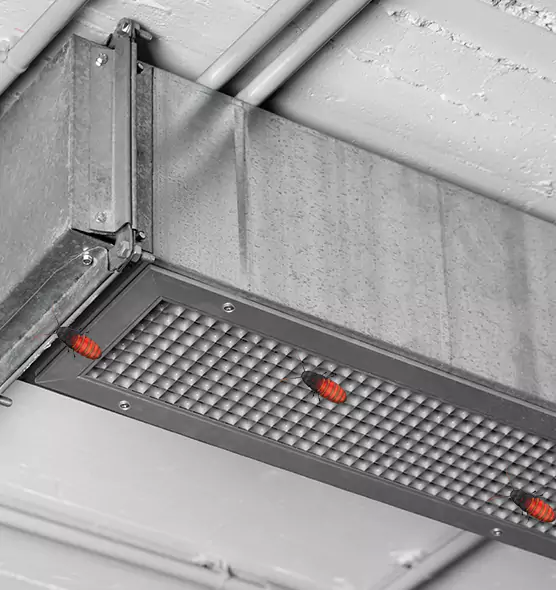 About Air Duct Cockroach Removal in Dearborn Heights, MI