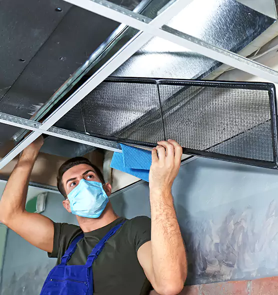 Professional Air Duct Pollen Cleaning in Dearborn Heights, MI