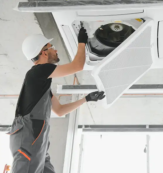 About Air Duct Rodent Removal in Dearborn Heights, MI