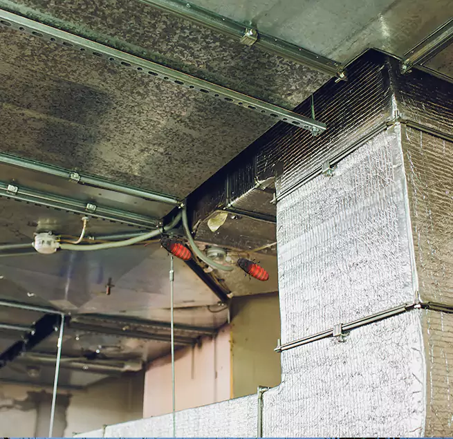 Why Homeowners & Businesses Trust Us in Dearborn Heights, MI?