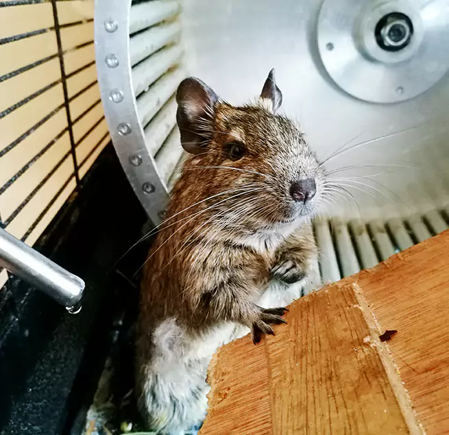 Why Homeowners & Businesses Trust Us Dearborn Heights, MI?