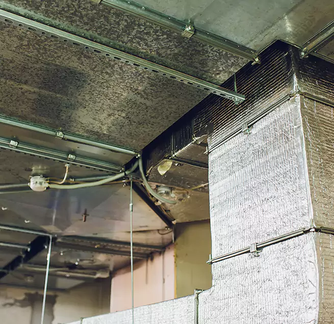 Why Homeowners & Businesses Trust Us in Dearborn Heights, MI?